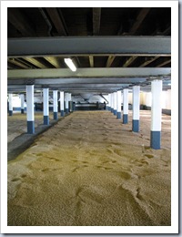 Floor Malting at Laphroaig
